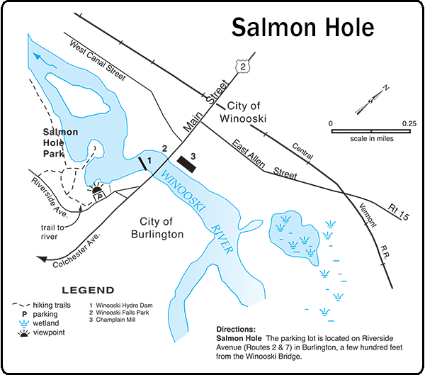 Initial Visit Salmon Hole Phenology 